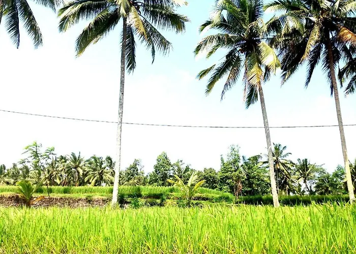 Deta Junjungan Rice Field 3* Ubud